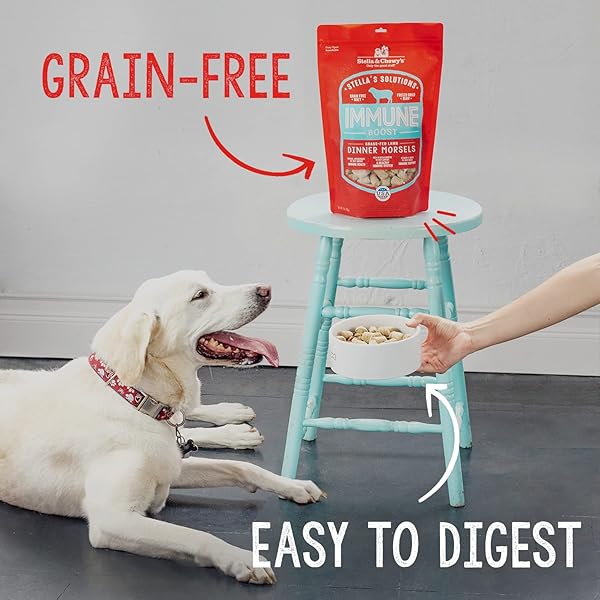 STELLA & CHEWY’S FREEZE-DRIED RAW DOG FOOD FOR DIGESTIVE HEALTH – GRASS-FED BEEF DINNER MORSELS – NATURAL SOLUTION FOR SENSITIVE STOMACH, GAS & FIRM STOOLS – PREMIUM RAW NUTRITION – 13OZ
