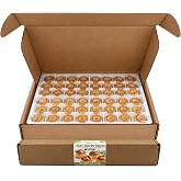 Gourmet Puff Pastry Shells | Ready to Use Mini Puff Pastry Cups for Appetizers &amp; Desserts | Pre-Baked Flaky Pastry Shells | by Dasher&rsquo;s Spice &amp; Beans | 96 Count