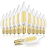 Hizashi Candelabra LED Light Bulbs, E12 LED Bulb