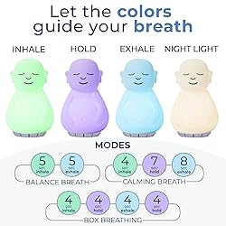 Mindsight 'Breathing Buddha' Guided Visual