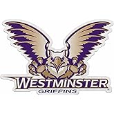 Rico Industries NCAA Westminster (MO) Blue Jays Shape Cut Pennant - Home and Living Room Décor - Soft Felt EZ to Hang