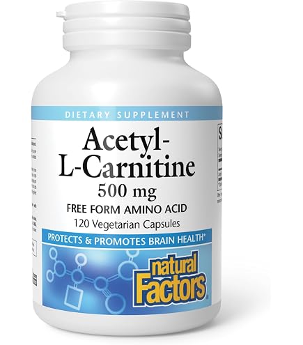 Natural Factors, L-Carnitine 500 mg, Energy Support, 60 Capsules (60 Servings) : Health & Household