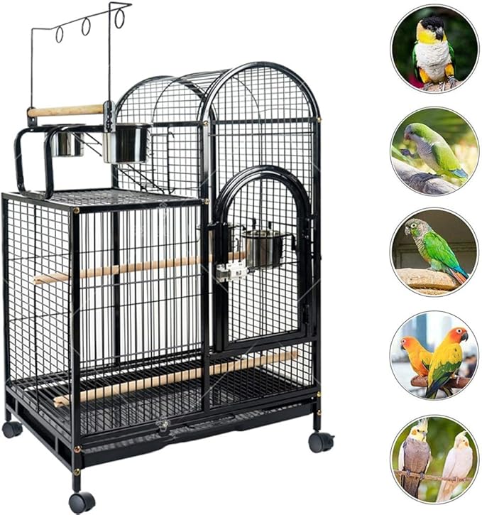 bird cages for large birds