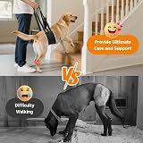 BRO Adjustable Dog Lifting Harness with Anti-slip Buckle Large (L) view 3