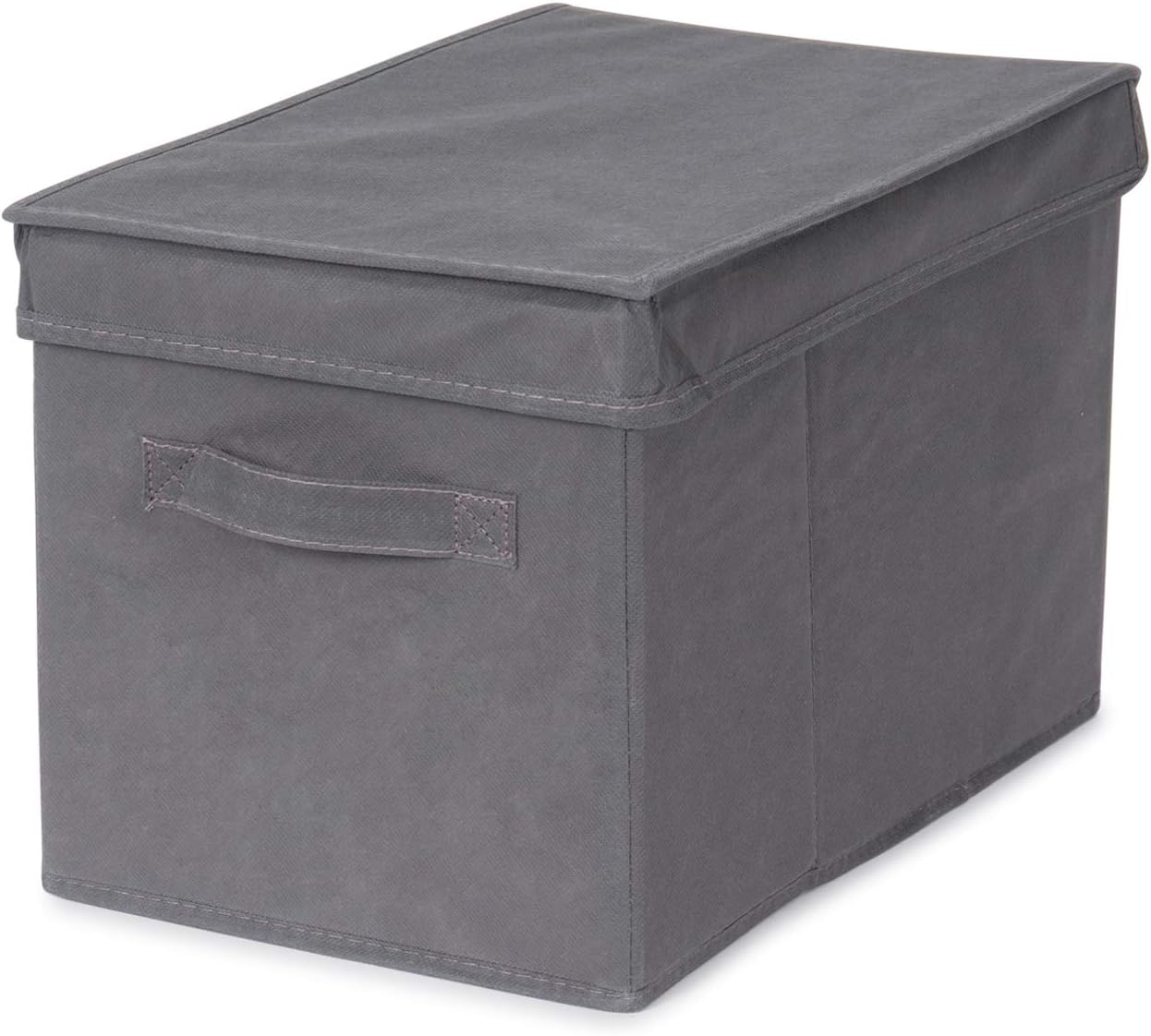 Store & Style - Caja de almacenaje con tapa, 25 x 20 x 40 cm (gris): Amazon.es: Hogar