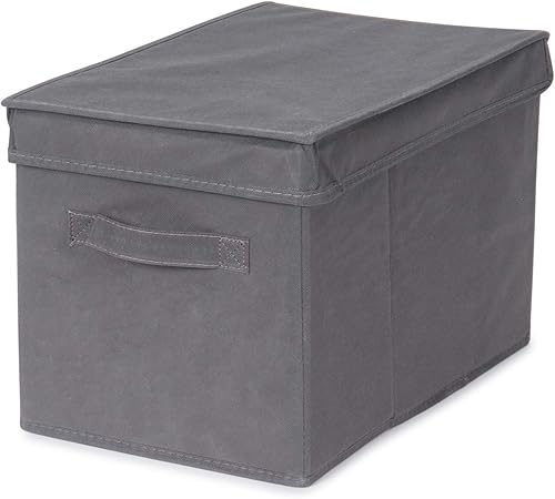 Store & Style - Caja de almacenaje con tapa, 25 x 20 x 40 cm (gris): Amazon.es: Hogar