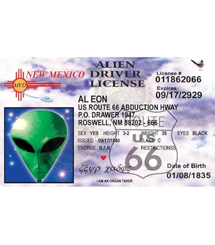 Amazon.com: Signs 4 Fun NNMID6 66 Alien Nm's Driver's License