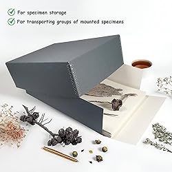 Lineco, Archival Herbarium Boxes, Acid-free Storage