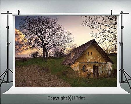 Amazon モダンな写真背景幕 タイムスクエア ニューヨーク 街の人々 タクシーキャブ交通 ファッションイラスト 誕生日パーティーの背景 カスタマイズマイクロファイバーフォトスタジオ小道具 5x3フィート マルチカラー バックペーパー 背景布 通販