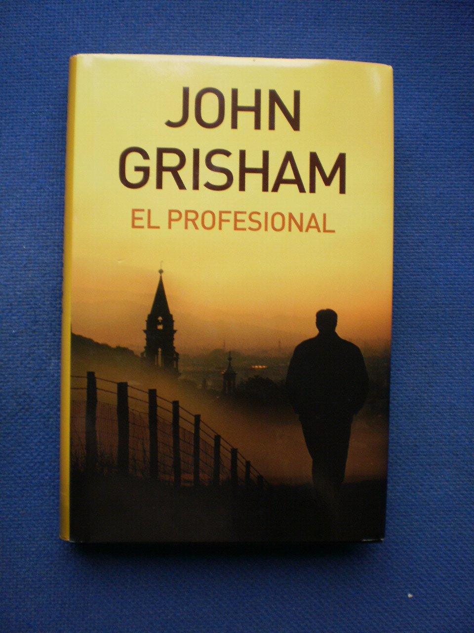 Portada de EL PROFESIONAL