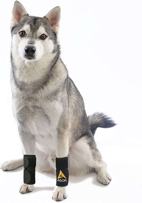 brace for dog front paw