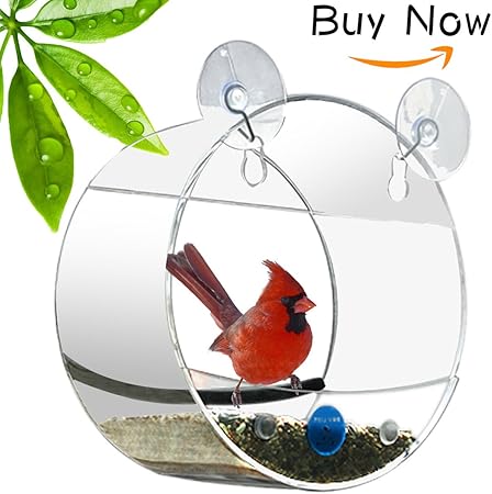 Amazon Com Newcrea Clear Bird Feeder For Window Window