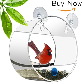 Newcrea 2017 Upgraded Large Hangout Window Bird Feeder Squirrel