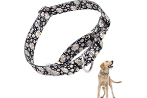 ONEFOJOJO Martingale Collar for Dogs, No Pull Dog Training Collar Daisy Floral Design with Adjustable Soft Nylon Dog Collars, Great for Whippets, Greyhounds and More (L)