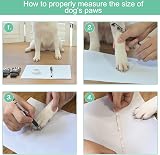 Dog Socks Paws Stop Licking Anti-Slip Grips 3 Pairs Green M view 5