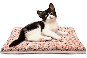 FJWYSANGU Fluffy Pet Cat Blanket Soft Coral Velvet Pet Puppy Cushion Mat Warm Cover Soft Pad Mat XL Beige