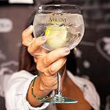Insaxa Premium Gin Glass Mum Gifts 11.5cm Dia 20cm Tall Platinum Design view 5