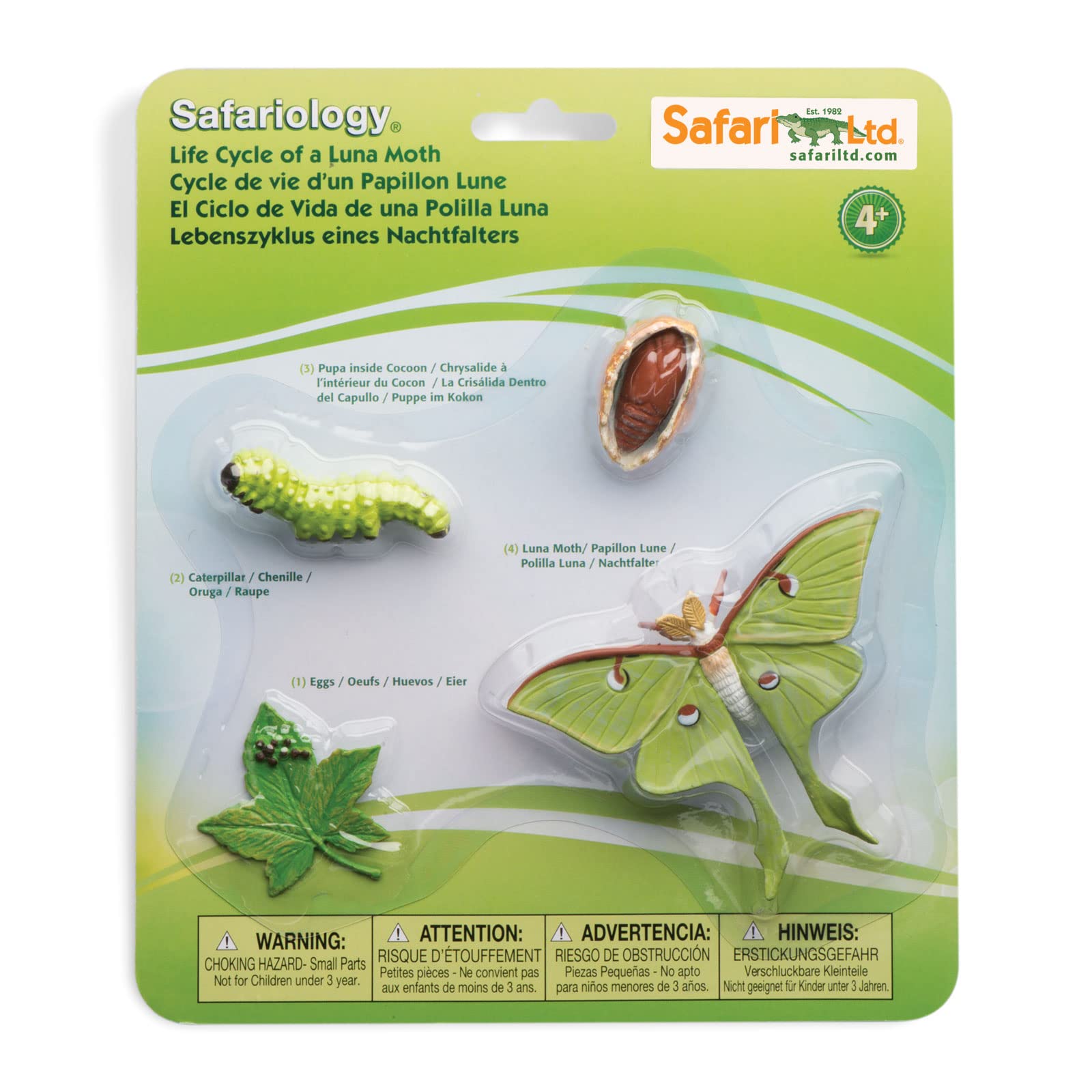 Safari Ltd. Life Cycle of a Luna Moth - Realistic Educational Toy Figurines - Miniature Insect Lifecycle Collection for Boys, Girls & Kids Age 4+