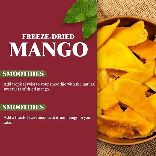 HIMALAYAN CHEF FREEZE-DRIED FRUIT – 15G/EACH FREEZE-DRIED MANGO | ORGANIC FRUITS SNACKS, HEALTHY SNACKS FOR KIDS & ADULTS | DRIEDS FRUITS, BABY SNACKS, GLUTEN-FREE