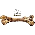 EcoKind Dog Bone Giant Femur Bone for Dogs | 1 Bone | Long Lasting Mammoth Dog Bones for Aggressive Chewers, Rawhide Free Healthy Dog Treat, Large Bones, Digestible Dog Chews & USDA Certified