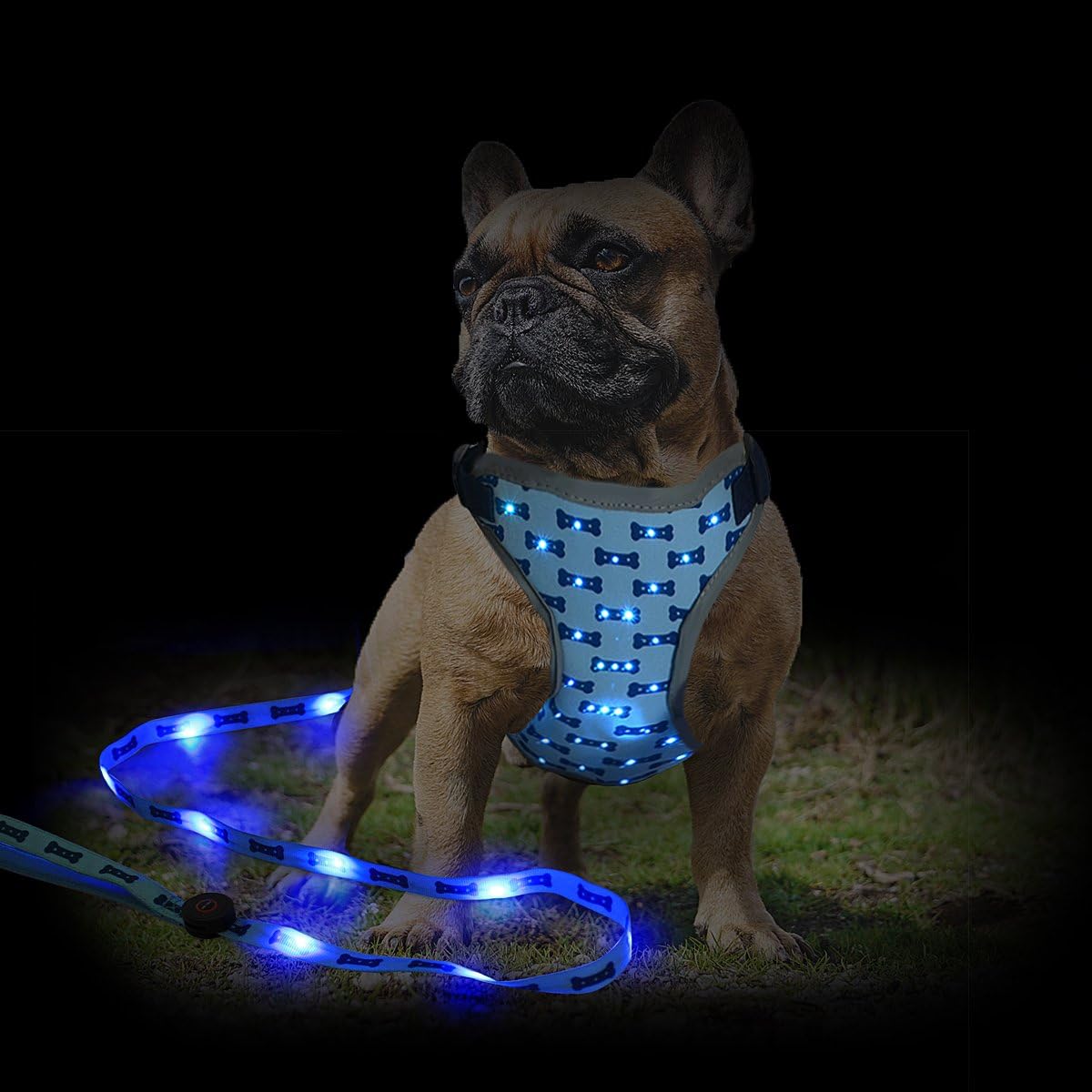 lighted dog harness