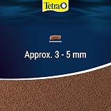 Tetra Goldfish Gold Japan Fish Food Premium 250 ml TE144361 view 6