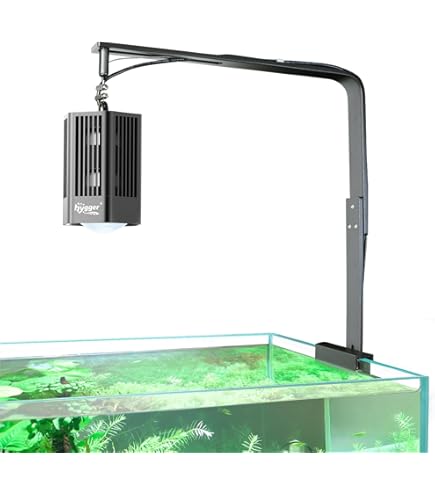Amazon.com: Kessil Tuna Sun A80 LED Light : Pet Supplies