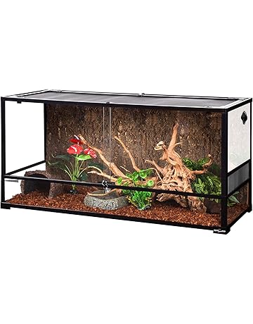 amazon reptile store