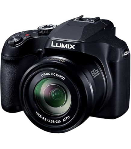 Amazon.com : Panasonic LUMIX DMC-FZ70 16.1 MP Digital Camera with
