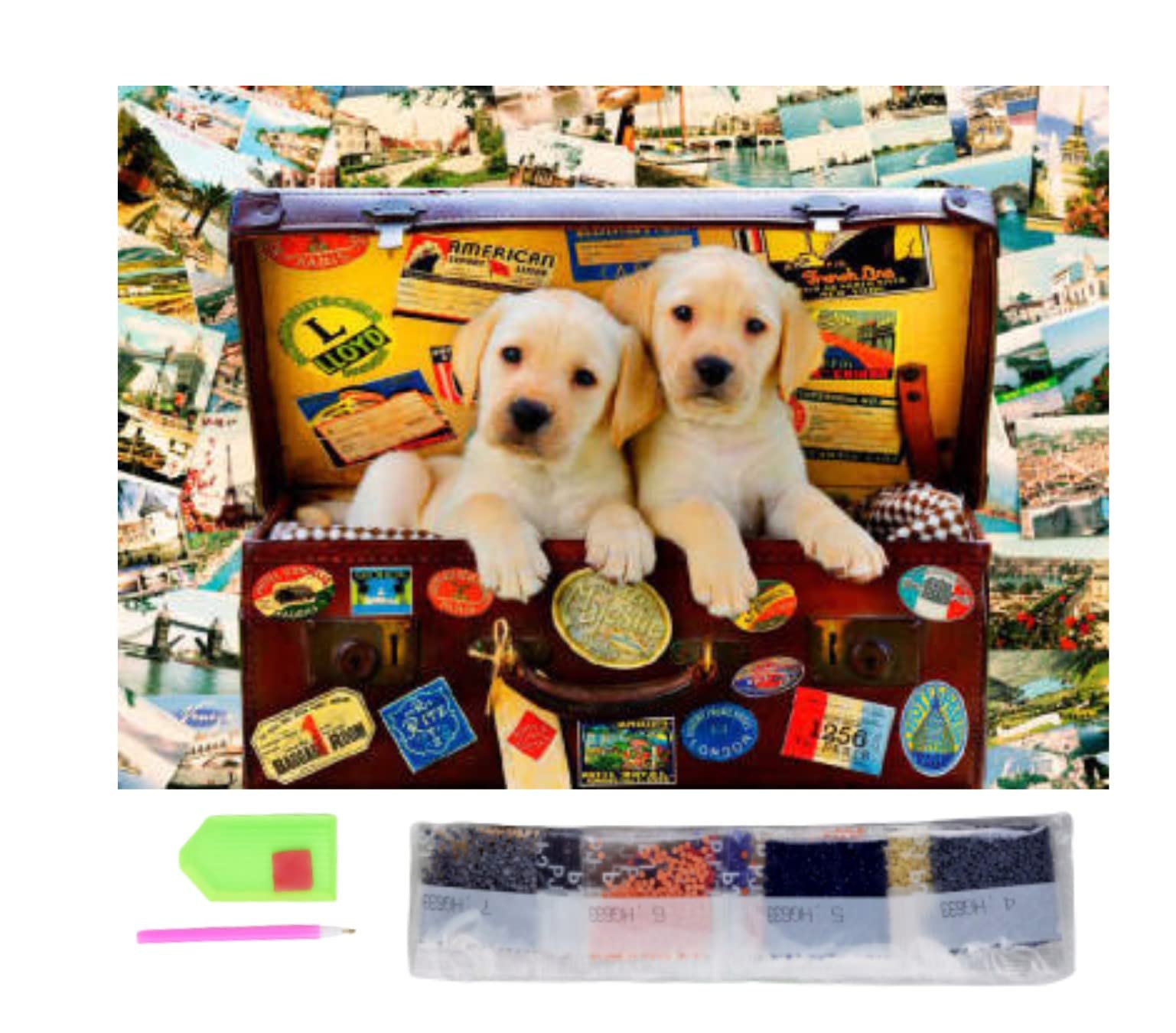 SusggO Diamond Painting Kit 40x30cm Diamond Painting Complete Accessories 5D Cross Stitch Embroidery Craft Home Wall Decoration (Dog Photos)