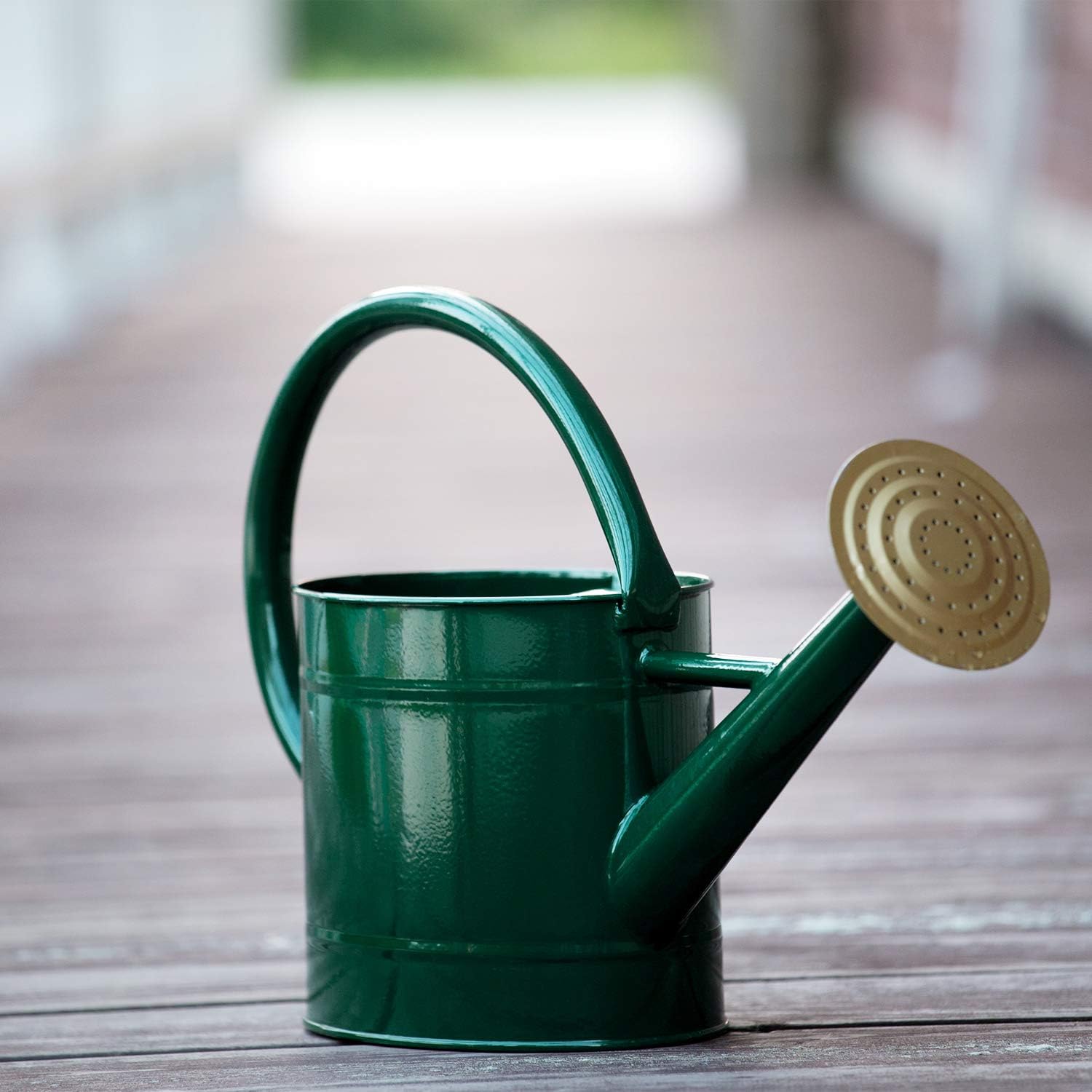 HORTICAN Galvanized Watering Can Modern Style Watering Pot with Handle and Rosehead for Outdoor and Indoor House Plants (1.3 gal/Green) : Garden & Outdoor