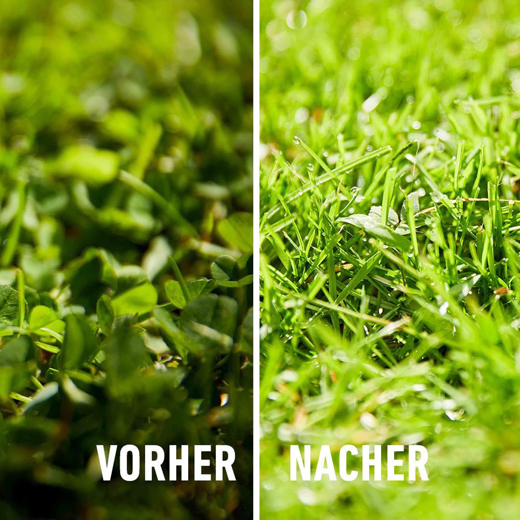 COMPO Rasendünger gegen Unkraut + Moos Komplett-Pflege Rasendünger mit Unkrautvernichter, Moosvernichter, 3 Monate Langzeitwirkung 9 kg, für 300m² 6