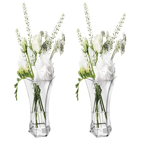 Buy Aakriti Transparent Glass Flower Vase Hexagonal Shaped Vase