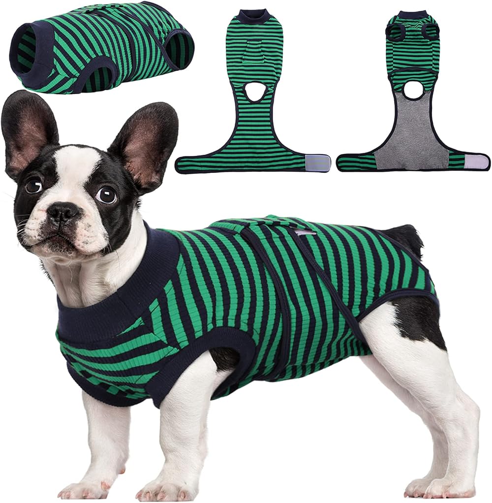 Kuoser Dog Surgery Recovery Suit XS Green Post-Op Onesie E-Collar Alternative