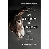 The Wisdom of Donkeys: Finding Tranquility in a Chaotic World