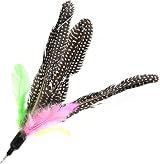 onebarleycorn Cat Toys Feather Refills Replacement Feathers 8 Pack view 7