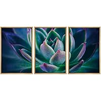 SIGNWIN Framed Canvas Wall Art Purple-Red, Green Petal Detail of a Succulent Botanical Plants Minimalism Modern Closeup Dramatic for Living Room, Bedroom, Office - 16