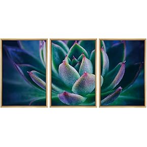 SIGNWIN Framed Canvas Wall Art Purple-Red, Green Petal...