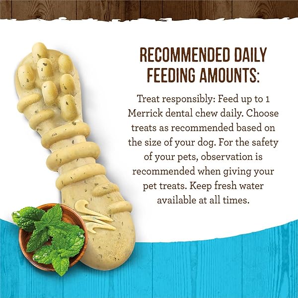 MERRICK FRESH KISSES NATURAL DENTAL CHEWS TOOTHBRUSH TREAT SHAPE INFUSED WITH REAL MINT FOR TINY DOGS 5-15 LBS – 106 CT. BOX