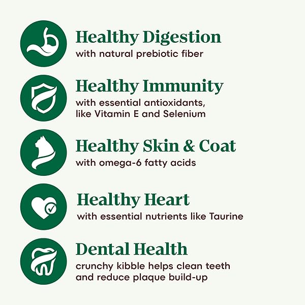 NUTRO WHOLESOME ESSENTIALS ADULT DRY CAT FOOD, SALMON & BROWN RICE RECIPE, 5 LBS.