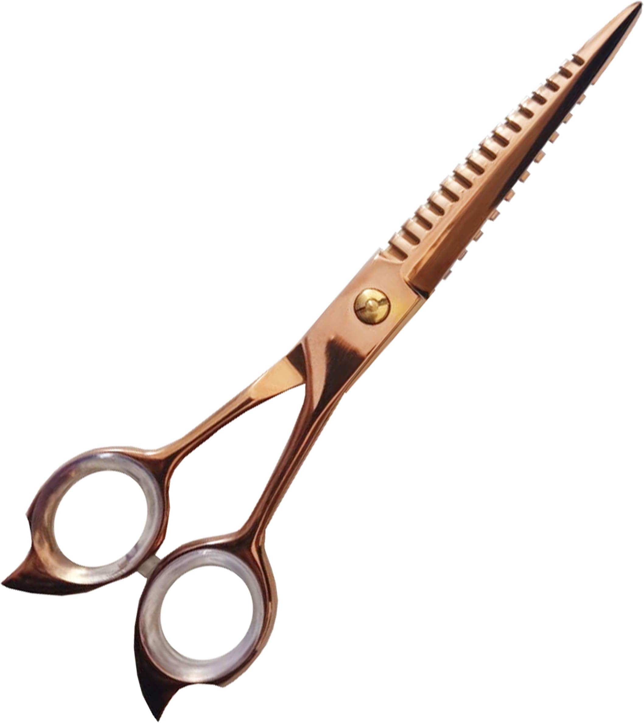 Apical Professional Razor Edge Series - Barber Hair Cutting Scissors/Shears - 6.5 Inches - Stainless Steel Hair Scissors (HC Toe)