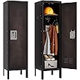 SISESOL Vintage Metal Locker with Hooks,Lockable 1 Door Storage Locker,Retro Black Single Lockers for Employees,Steel Locker for Home, Office,Gym,Old School Lockers Storage