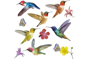 WALPLUS 12 Pieces Large Size Hummingbird Window Clings Anti-Collision Window Clings Decals to Prevent Bird Strikes on Window Glass Cling Hummingbird Stickers