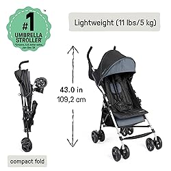 Ingenuity3D Mini Convenience Stroller