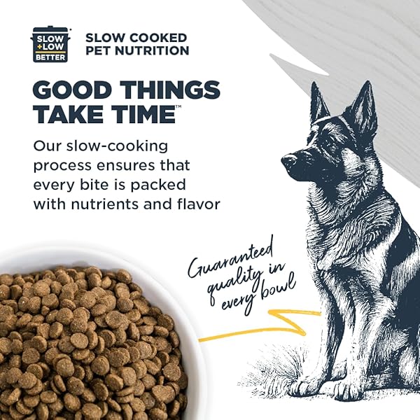 BLACKWOOD PUPPY & PERFORMANCE DRY DOG FOOD, CHICKEN MEAL WITH ANCIENT GRAINS, 4.5 POUND BAG FOR GROWING & WORKING DOGS, SUPPORTS ACTIVE LIFESTYLE
