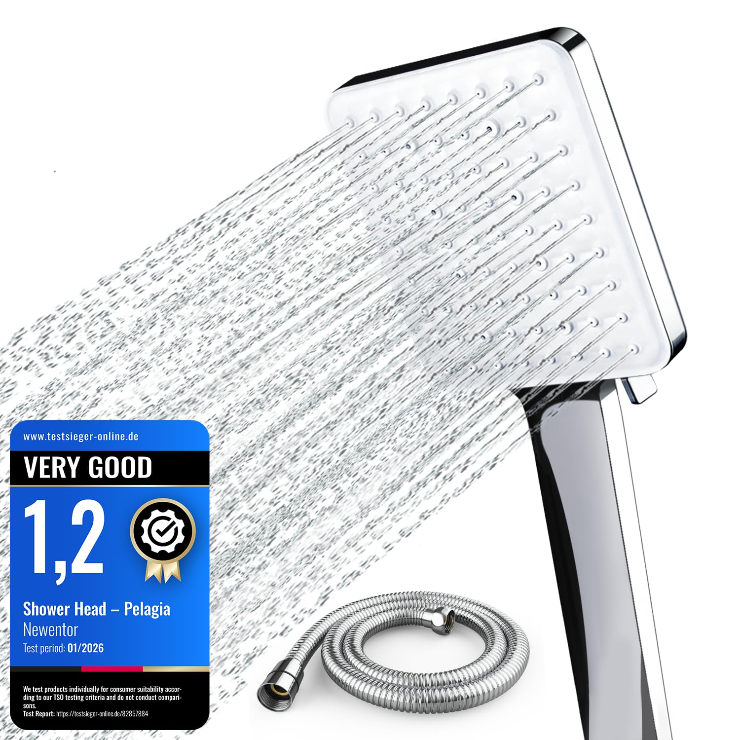 Newentor Shower Head and Hose[TESTSIEGER], High Pressure Shower Head with 6 Modes, Universal Water Saving Large Showerhead with 1.5M Hose, Silver