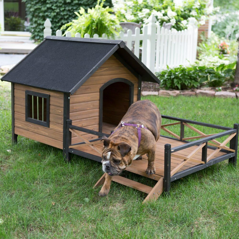 dog house with top deck