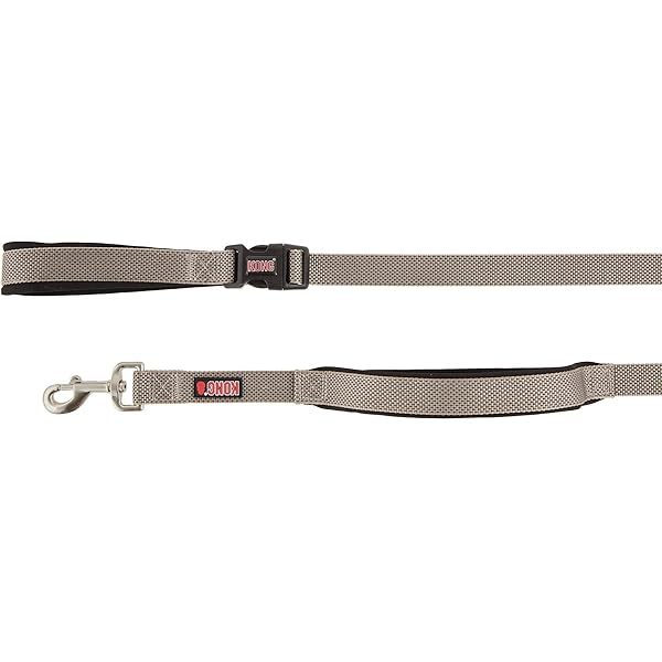 kong braided leash