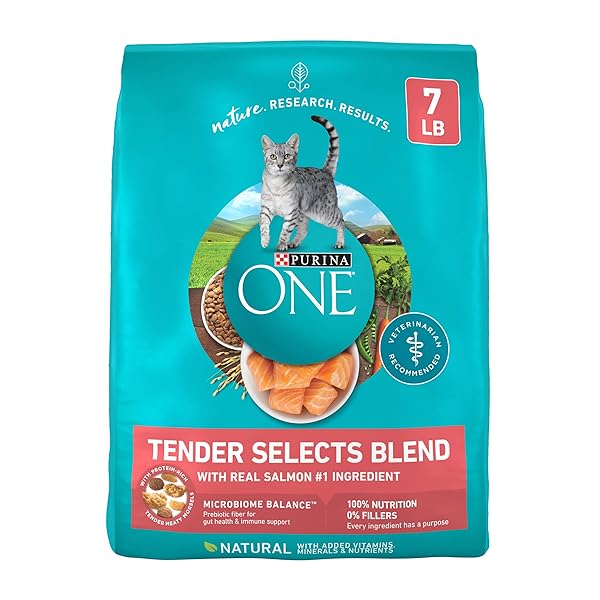 PURINA ONE NATURAL DRY CAT FOOD, TENDER SELECTS BLEND WITH REAL SALMON – 7 LB. BAG