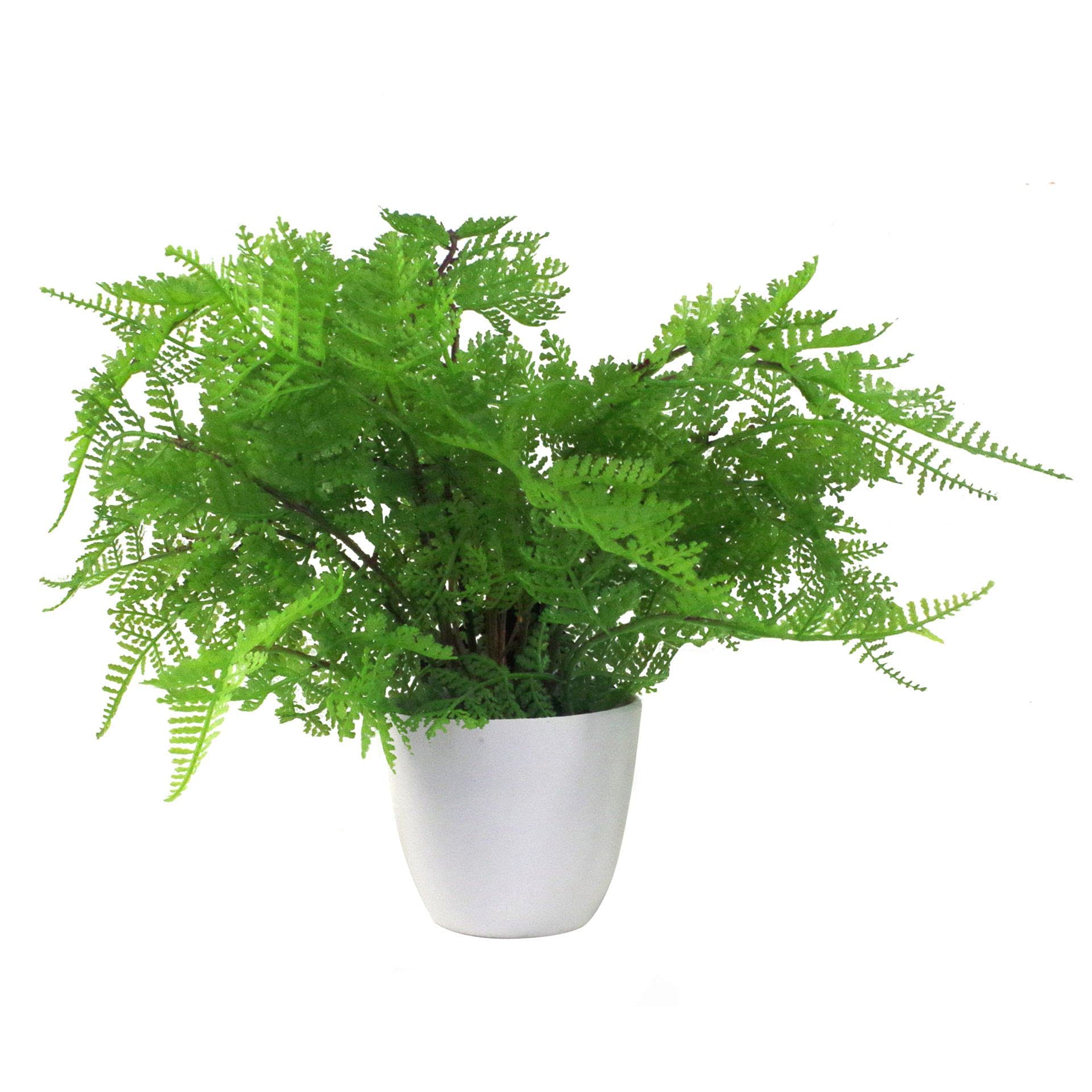 Leaf Design Realistic Artificial Fern Plant, Botanical Fern Natural, 30cm